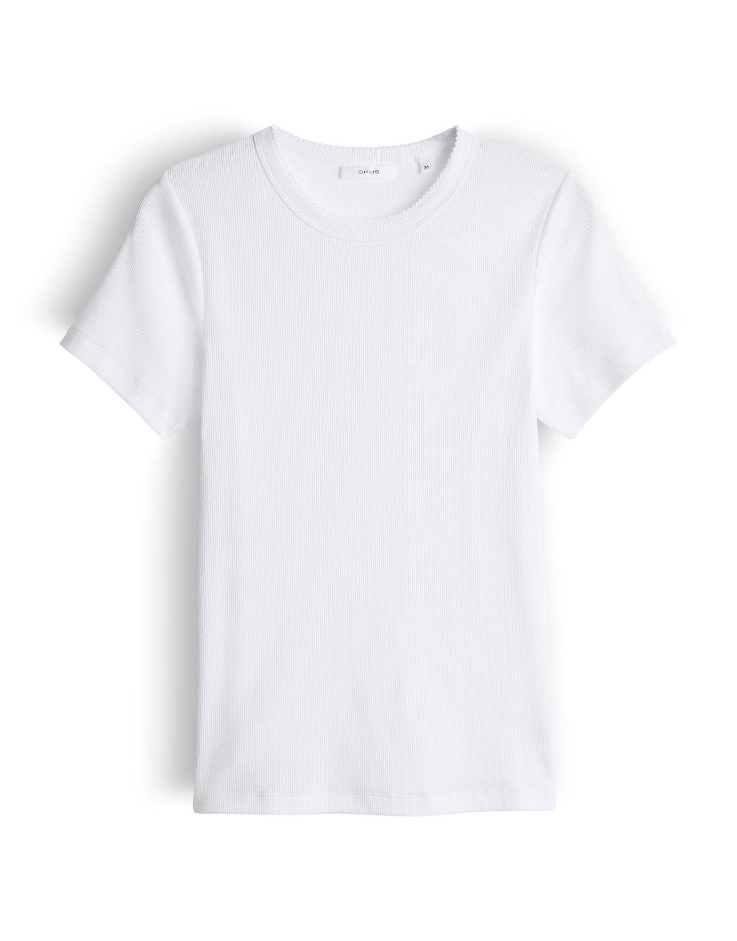 T-Shirt "Samuna scallop"
