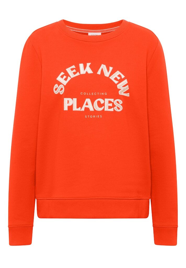 Sweatshirt mit Stickerei