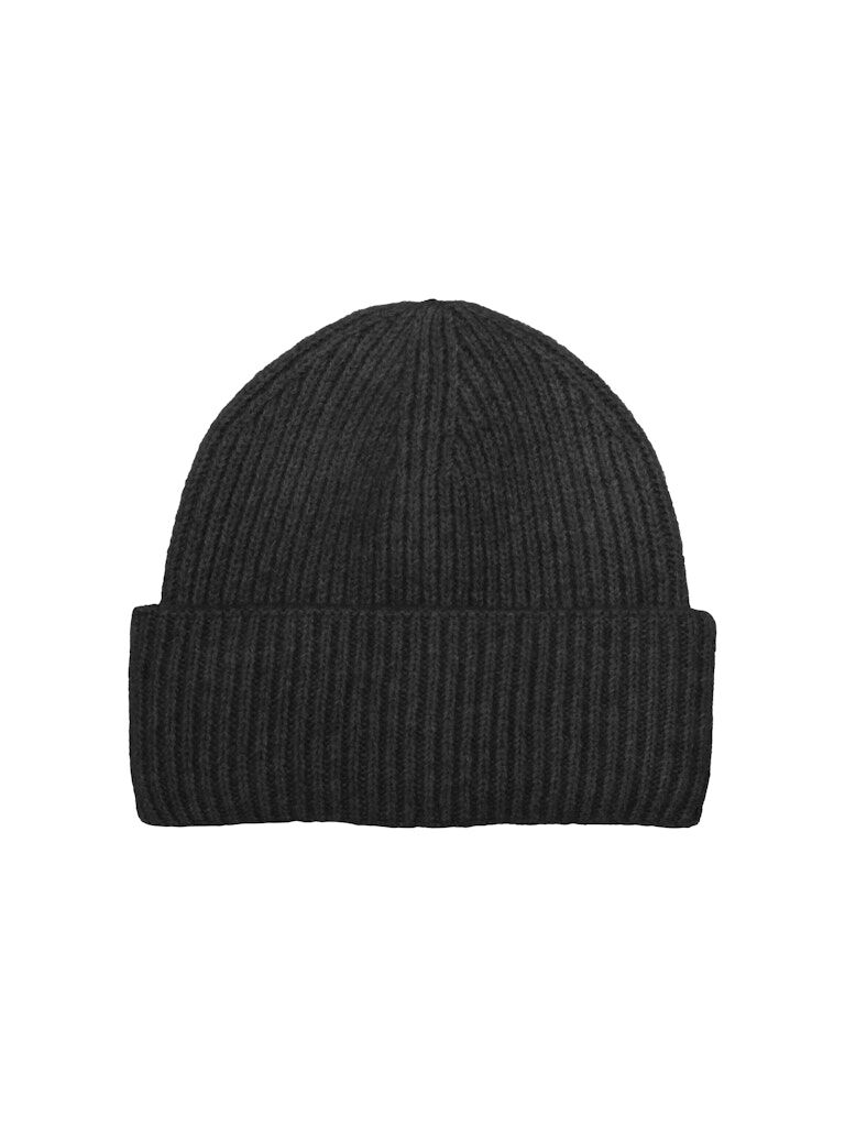 Only Beanie Everly